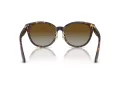 Jimmy Choo Ochelari de Soare JC 5032D 5002T5