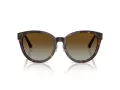 Jimmy Choo Ochelari de Soare JC 5032D 5002T5