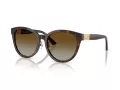 Jimmy Choo Ochelari de Soare JC 5032D 5002T5