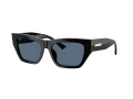 Jimmy Choo Ochelari de Soare JC 5035B 500080