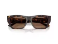 Jimmy Choo Ochelari de Soare JC 5035B 500273