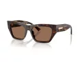 Jimmy Choo Ochelari de Soare JC 5035B 500273