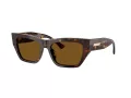 Jimmy Choo Ochelari de Soare JC 5035B 500283