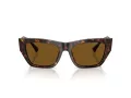 Jimmy Choo Ochelari de Soare JC 5035B 500283