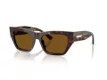 Jimmy Choo Ochelari de Soare JC 5035B 500283