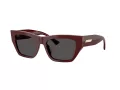 Jimmy Choo Ochelari de Soare JC 5035B 505787