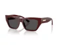 Jimmy Choo Ochelari de Soare JC 5035B 505787