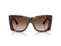 Jimmy Choo Ochelari de Soare JC 5036B 500213