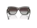Jimmy Choo Ochelari de Soare JC 5036B 50638G