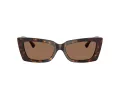 Jimmy Choo Ochelari de Soare JC 5037BU 500273