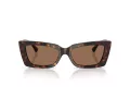Jimmy Choo Ochelari de Soare JC 5037BU 500273