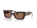 Jimmy Choo Ochelari de Soare JC 5037BU 500273