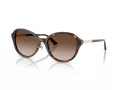 Jimmy Choo Ochelari de Soare JC 5044D 500213