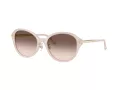 Jimmy Choo Ochelari de Soare JC 5044D 50253B