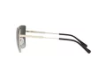 Michael Kors Bastia Ochelari de Soare MK 1108 1014/8G