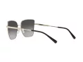 Michael Kors Bastia Ochelari de Soare MK 1108 1014/8G