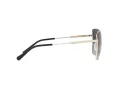 Michael Kors Bastia Ochelari de Soare MK 1108 1014/8G