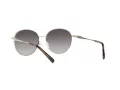 Michael Kors Alpine Ochelari de Soare MK 1119 1014/8G