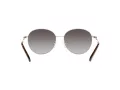 Michael Kors Alpine Ochelari de Soare MK 1119 1014/8G