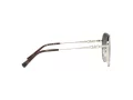 Michael Kors Alpine Ochelari de Soare MK 1119 1014/8G