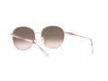 Michael Kors Alpine Ochelari de Soare MK 1119 1108/8Z