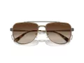Michael Kors Whistler Ochelari de Soare MK 1155 100113