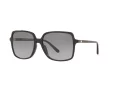 Michael Kors Isle Of Palms Ochelari de Soare MK 2098U 3005/11 56