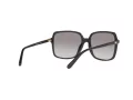 Michael Kors Isle Of Palms Ochelari de Soare MK 2098U 3005/11 56