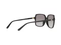 Michael Kors Isle Of Palms Ochelari de Soare MK 2098U 3005/11 56