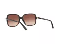 Michael Kors Isle Of Palms Ochelari de Soare MK 2098U 3781/13 56