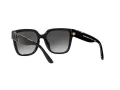 Michael Kors Karlie Ochelari de Soare MK 2170U 30058G 54