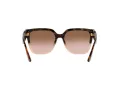 Michael Kors Karlie Ochelari de Soare MK 2170U 3909/13