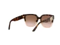 Michael Kors Karlie Ochelari de Soare MK 2170U 3909/13