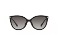Michael Kors Dupont Ochelari de Soare MK 2184U 30058G 56