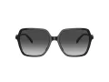 Michael Kors Jasper Ochelari de Soare MK 2196U 30058G 58
