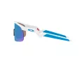 Oakley Resistor Ochelari de Soare OJ 9010 07 123