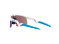 Oakley Resistor Ochelari de Soare OJ 9010 07 123