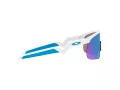 Oakley Resistor Ochelari de Soare OJ 9010 07 123
