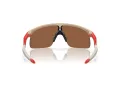 Oakley Resistor Ochelari de Soare OJ 9010 17