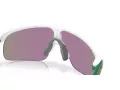 Oakley Resistor Ochelari de Soare OJ 9010 33 123