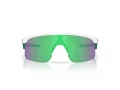 Oakley Resistor Ochelari de Soare OJ 9010 33 123