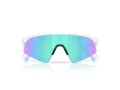 Oakley Resistor Sweep Ochelari de Soare OJ 9015 01 128