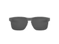 Oakley Holbrook Metal Ochelari de Soare OO 4123 06 55