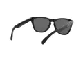 Oakley Frogskins Ochelari de Soare OO 9013 24-306 55