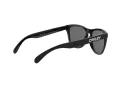 Oakley Frogskins Ochelari de Soare OO 9013 24-306 55