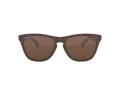 Oakley Frogskins Ochelari de Soare OO 9013 C5 55