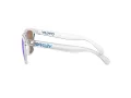 Oakley Frogskins Ochelari de Soare OO 9013 D0 55
