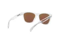Oakley Frogskins Ochelari de Soare OO 9013 D0 55