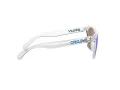 Oakley Frogskins Ochelari de Soare OO 9013 D0 55