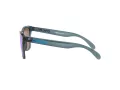 Oakley Frogskins Ochelari de Soare OO 9013 F6 55